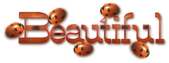 Text animations graphics