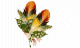Thank you graphics