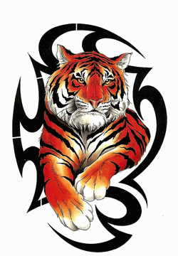 Tigers