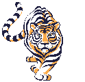 Tigers graphics