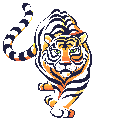 Tigers graphics
