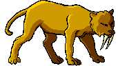 Tigers graphics