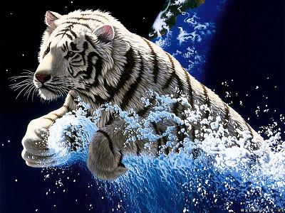Tigers graphics