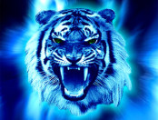 Tigers graphics