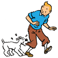 Tintin graphics