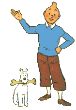 Tintin