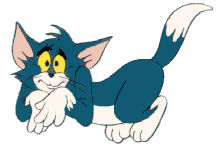 Tom and jerry graphics