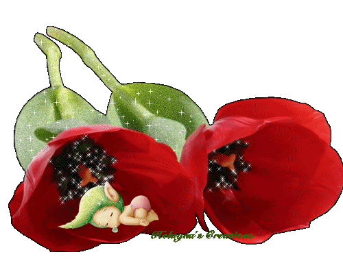 Toread graphics