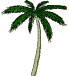 Animated palm tree