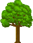 Trees graphics