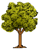 Trees graphics