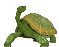 Turtles graphics