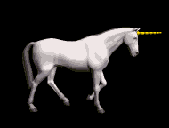 Unicorn graphics