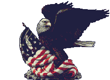 Usa graphics