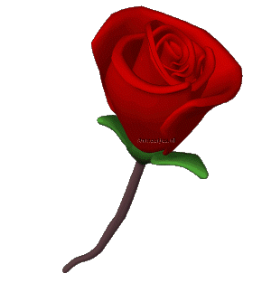 Valentine graphics