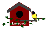 Valentine graphics