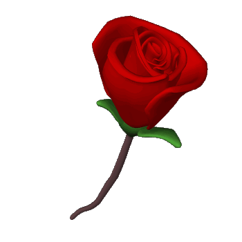 Valentine graphics