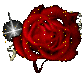 Valentine graphics