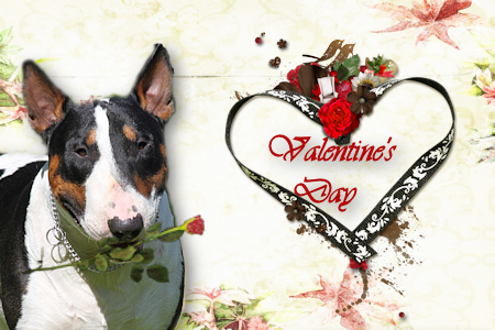 Valentine graphics