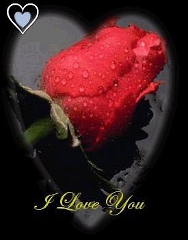 Valentine graphics