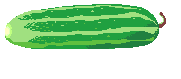 Vegetables graphics