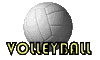 Volleyball graphics