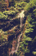 Waterfall graphics