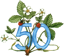 Wedding anniversary 50th graphics