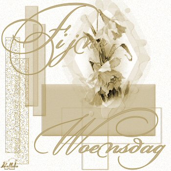 Wednesday graphics