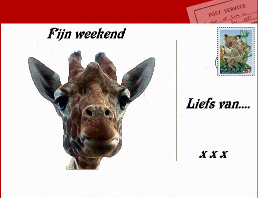 Weekend graphics