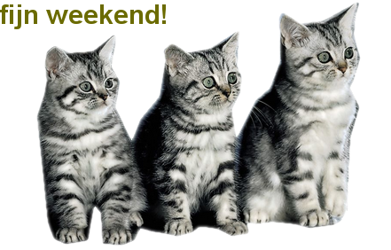 Weekend graphics
