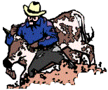 Wild west graphics