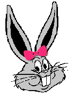 Wink graphics