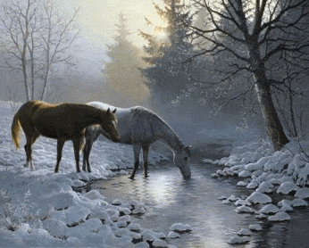 Winter graphics