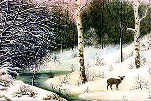 Winter graphics