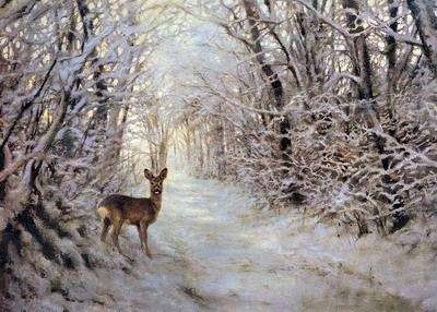 Winter graphics