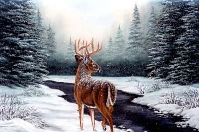 Winter graphics