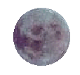 Witches graphics