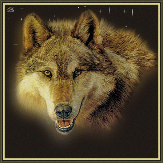 Wolves graphics