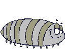 Worms graphics