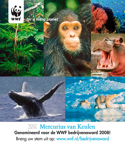 Wwf graphics