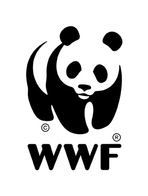 Wwf graphics