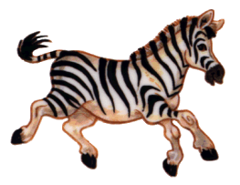 Zebra graphics