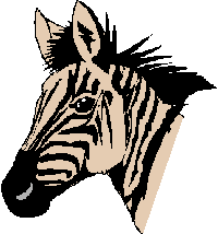 Zebra graphics