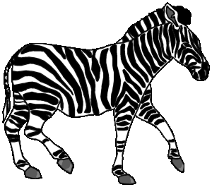 Zebra graphics