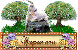 Zodiac signs graphics
