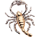 Zodiac signs graphics