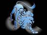 Zodiac signs graphics