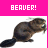 Beavers