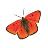 Butterflies icon graphics